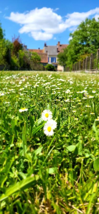 Le Gite Du Nohain Entrains-sur-Nohain Eksteriør bilde